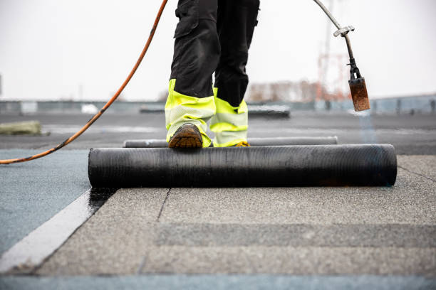 Best Metal Roofing Installation  in Frenchtown, MT