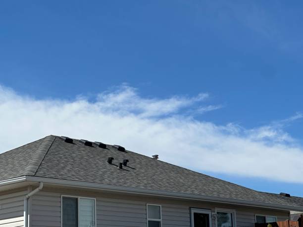 Best 4 Ply Roofing  in Frenchtown, MT